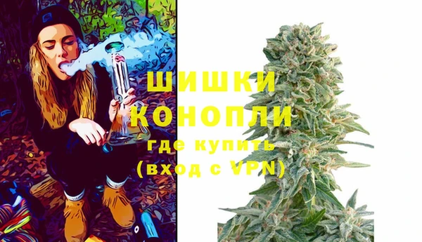 дурь Вяземский