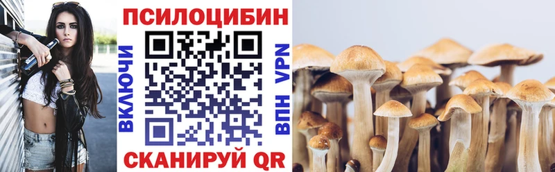 Псилоцибиновые грибы Psilocybine cubensis  hydra рабочий сайт  Чегем  как найти закладки 